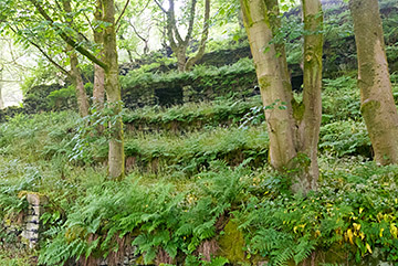 Beverley End tenter terraces