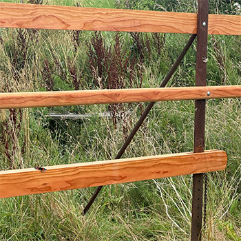 Rails of Douglas fir Rails of Douglass fir