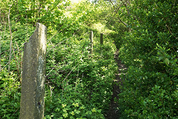 Longwood Gate tenters