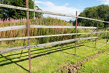 Tenters at Otterburn Mill, Northumberland